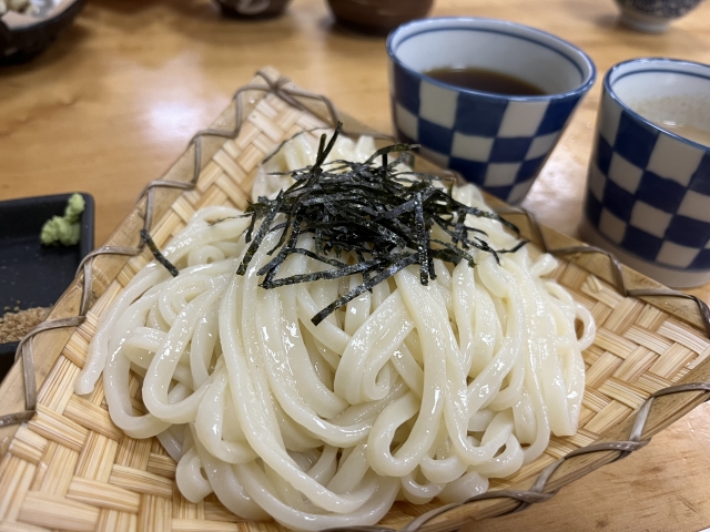 皿に盛り付けられたうどん